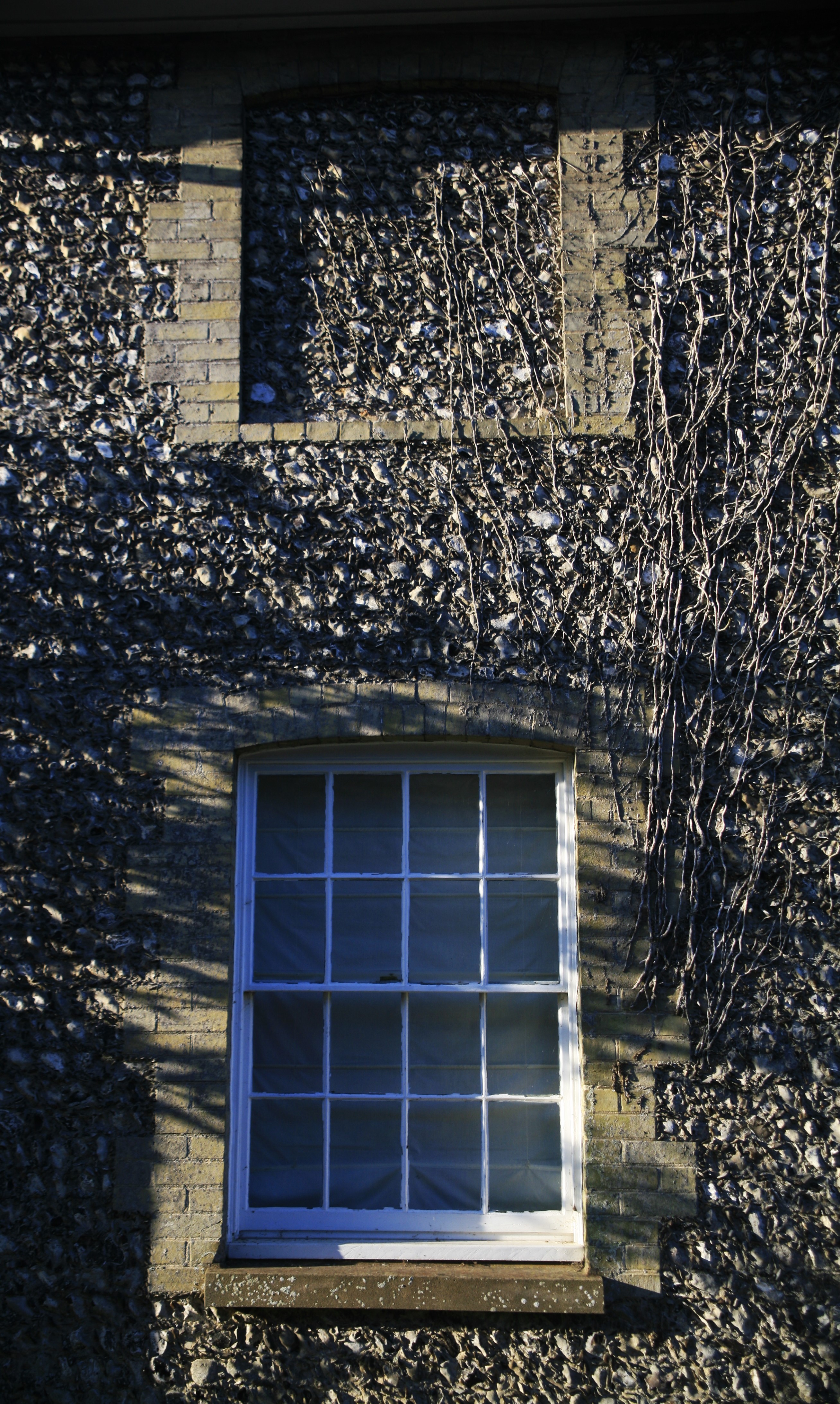 A window on the side of a stone English cottage with strands of dead ivy weaving around it