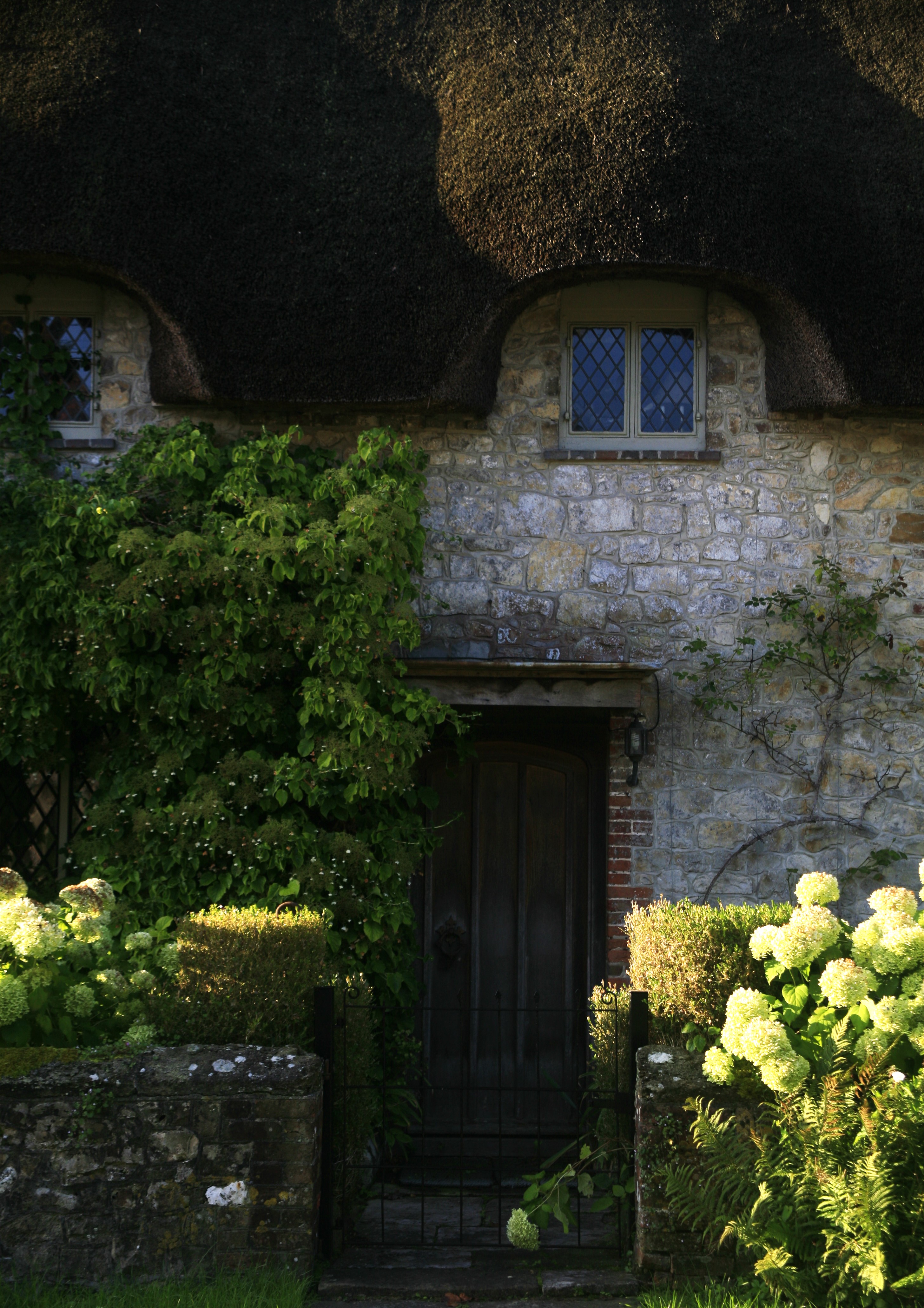 The side of a stone English cottage with flora and fauna surrounding it